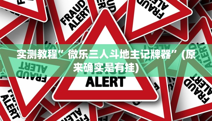 实测教程”微乐三人斗地主记牌器”(原来确实是有挂)