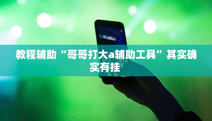 教程辅助“哥哥打大a辅助工具”其实确实有挂 