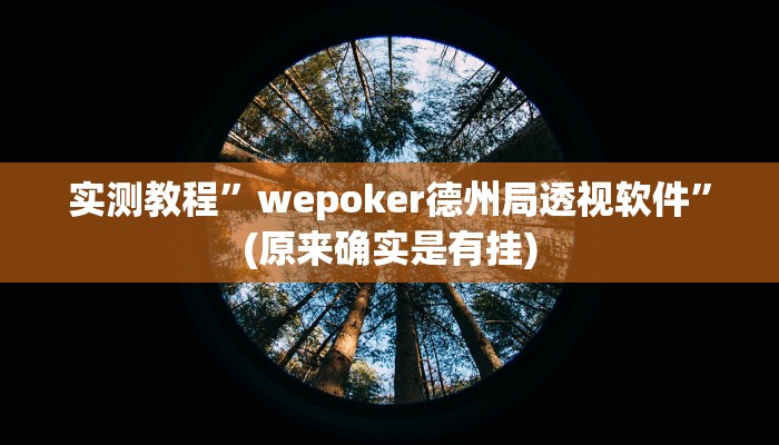实测教程”wepoker德州局透视软件”(原来确实是有挂)