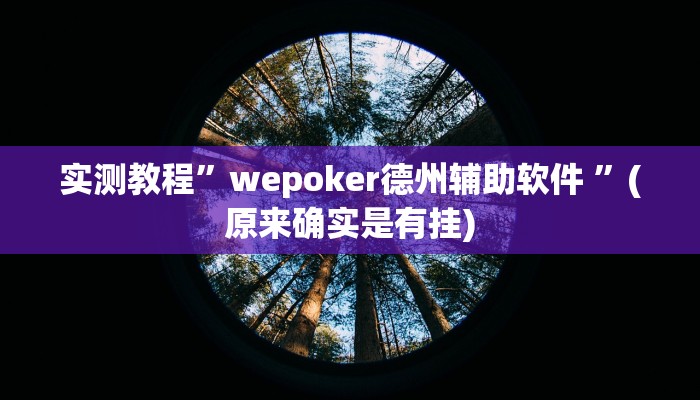 实测教程”wepoker德州辅助软件 ”(原来确实是有挂)
