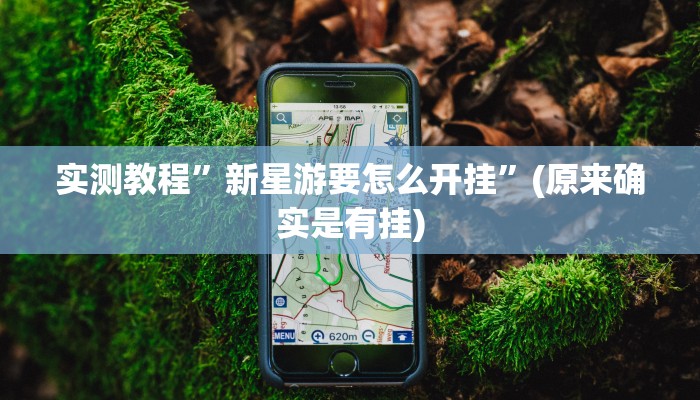 实测教程”新星游要怎么开挂”(原来确实是有挂)
