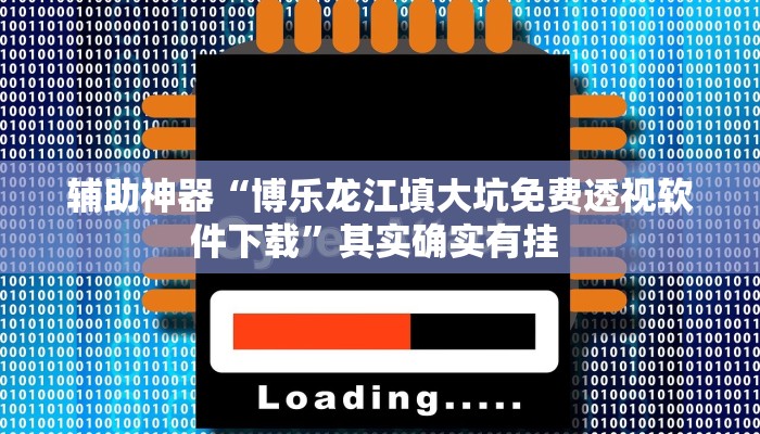 辅助神器“博乐龙江填大坑免费透视软件下载”其实确实有挂 