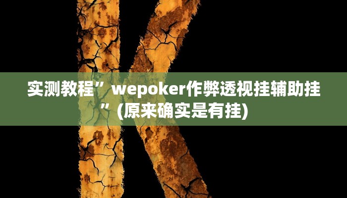 实测教程”wepoker作弊透视挂辅助挂”(原来确实是有挂)
