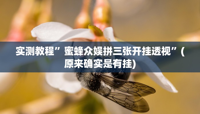 实测教程”蜜蜂众娱拼三张开挂透视”(原来确实是有挂)