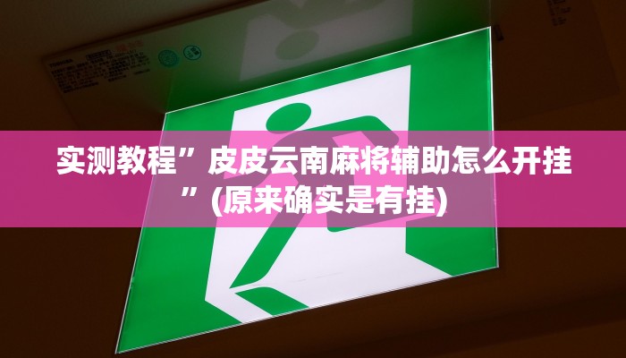 实测教程”皮皮云南麻将辅助怎么开挂”(原来确实是有挂)