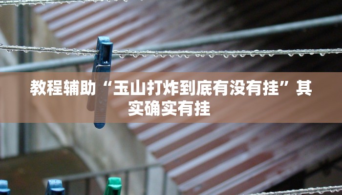 教程辅助“玉山打炸到底有没有挂”其实确实有挂 