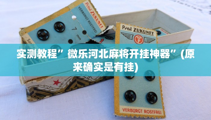 实测教程”微乐河北麻将开挂神器”(原来确实是有挂)