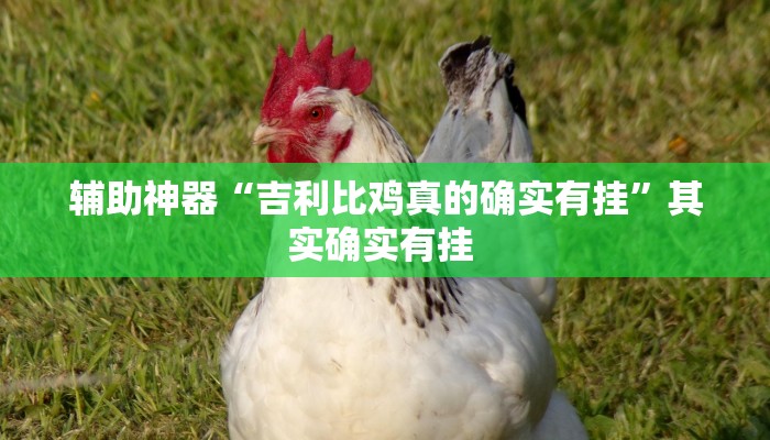 辅助神器“吉利比鸡真的确实有挂”其实确实有挂 
