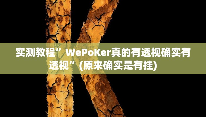 实测教程”WePoKer真的有透视确实有透视”(原来确实是有挂)