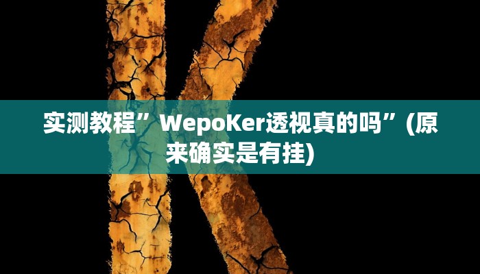 实测教程”WepoKer透视真的吗”(原来确实是有挂)