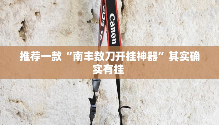 推荐一款“南丰数刀开挂神器”其实确实有挂 