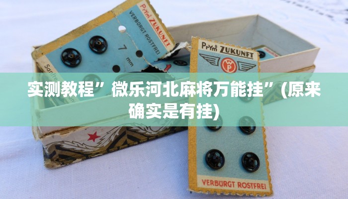实测教程”微乐河北麻将万能挂”(原来确实是有挂)