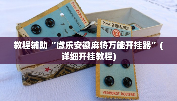 教程辅助“微乐安徽麻将万能开挂器”(详细开挂教程)