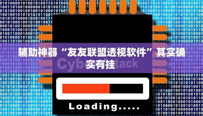 辅助神器“友友联盟透视软件”其实确实有挂 