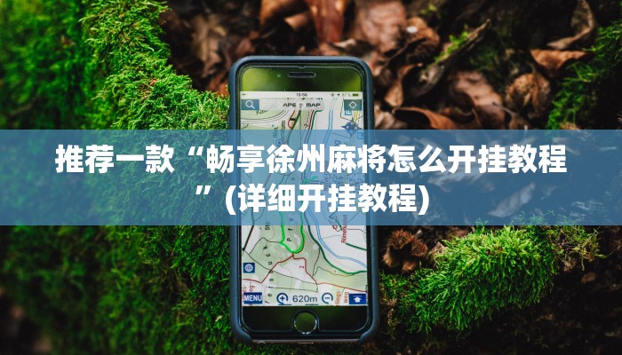推荐一款“畅享徐州麻将怎么开挂教程”(详细开挂教程)
