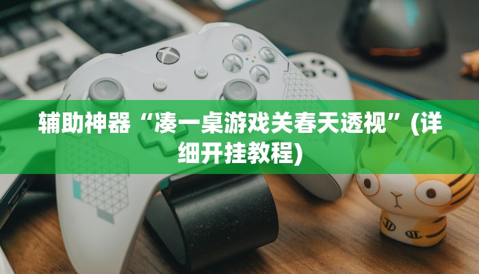 辅助神器“凑一桌游戏关春天透视”(详细开挂教程)