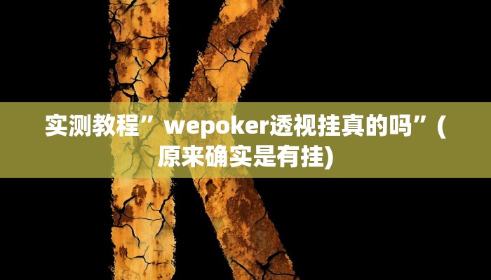实测教程”wepoker透视挂真的吗”(原来确实是有挂)