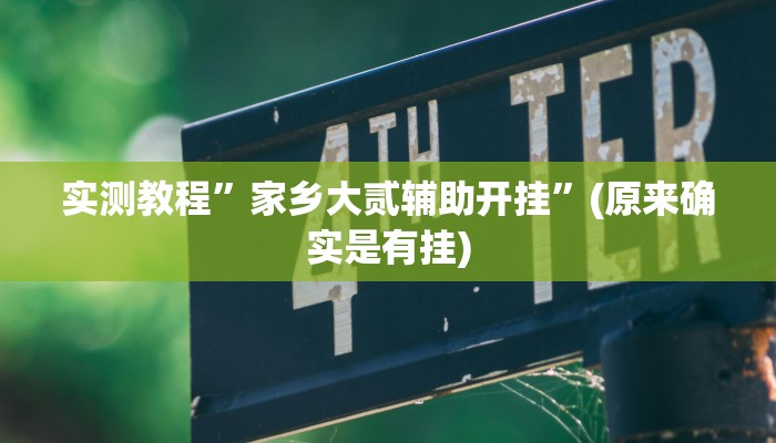 实测教程”家乡大贰辅助开挂”(原来确实是有挂)