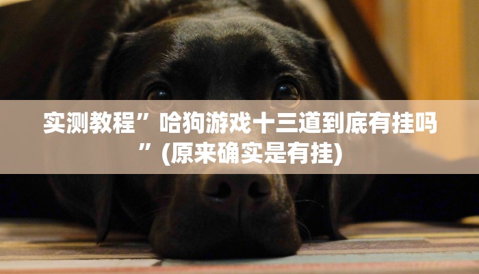 实测教程”哈狗游戏十三道到底有挂吗”(原来确实是有挂)