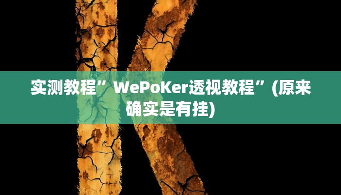 实测教程”WePoKer透视教程”(原来确实是有挂)