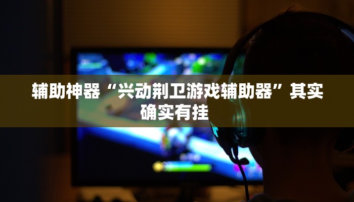 辅助神器“兴动荆卫游戏辅助器”其实确实有挂 