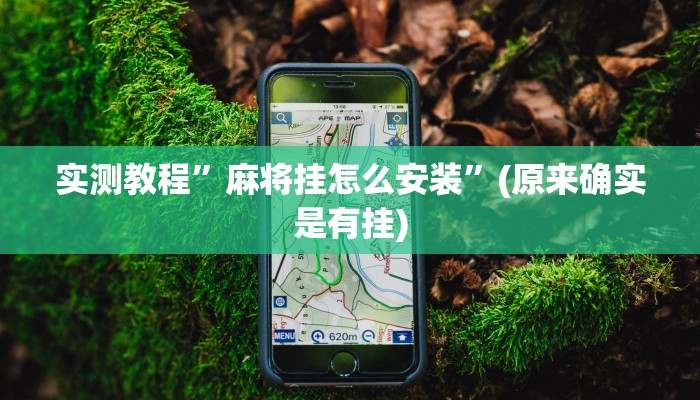 实测教程”麻将挂怎么安装”(原来确实是有挂)