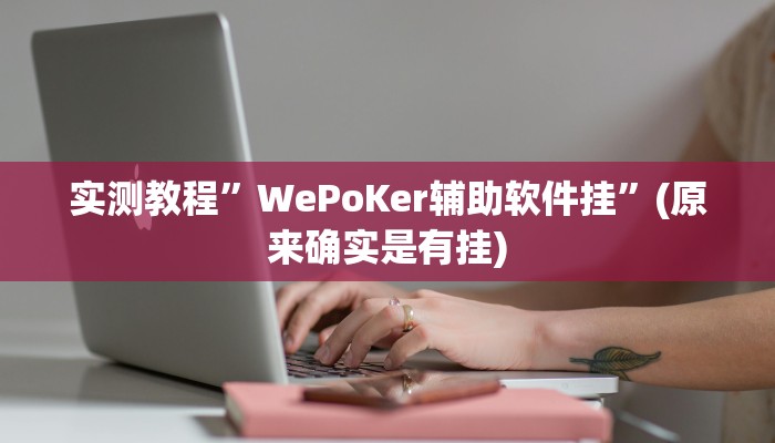 实测教程”WePoKer辅助软件挂”(原来确实是有挂)